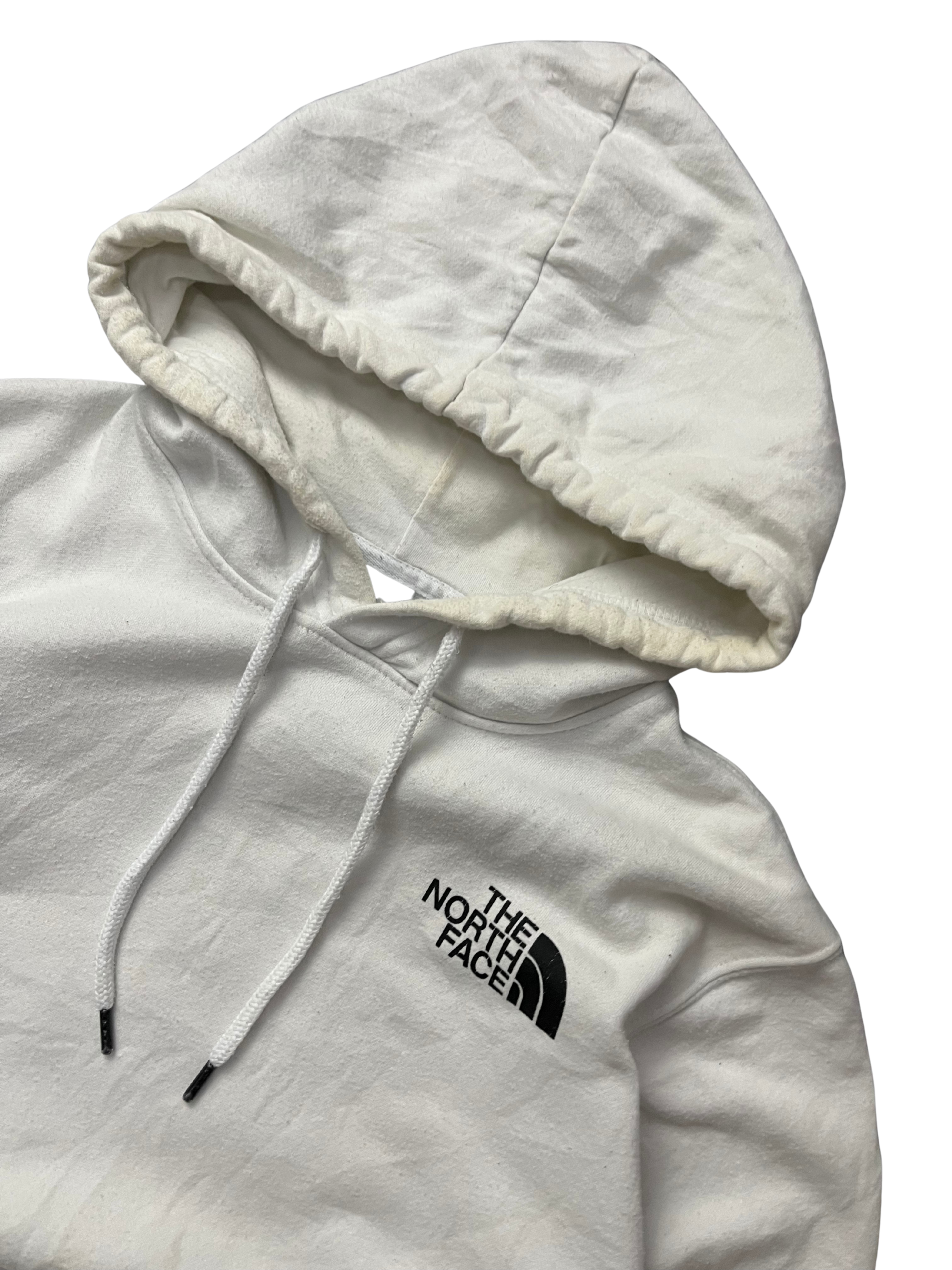 The nort face Printed Box NSE Pullover Hoodie