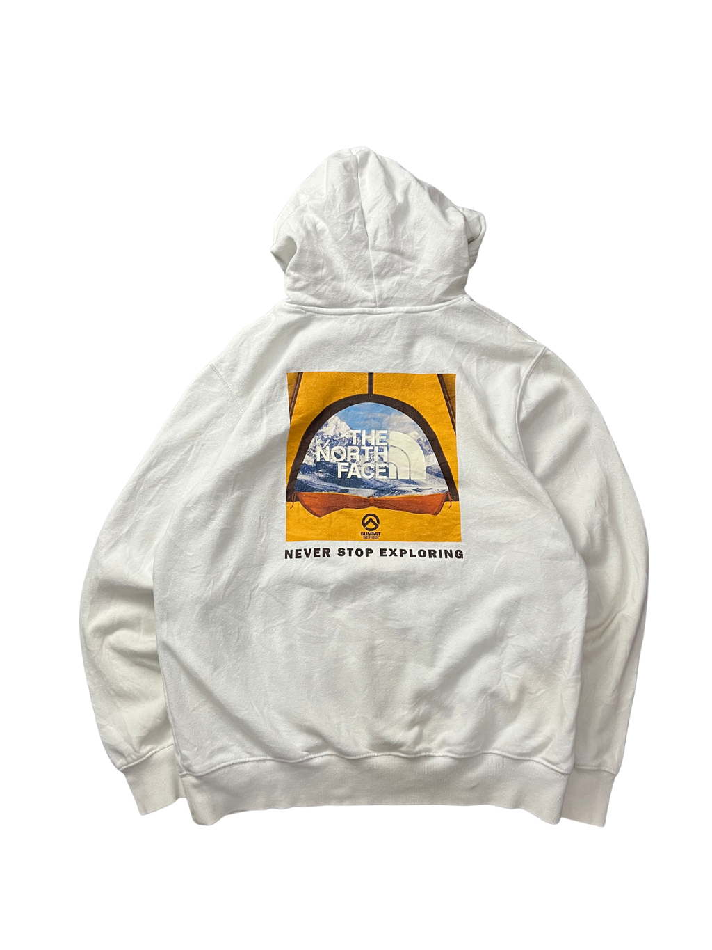 The nort face Printed Box NSE Pullover Hoodie