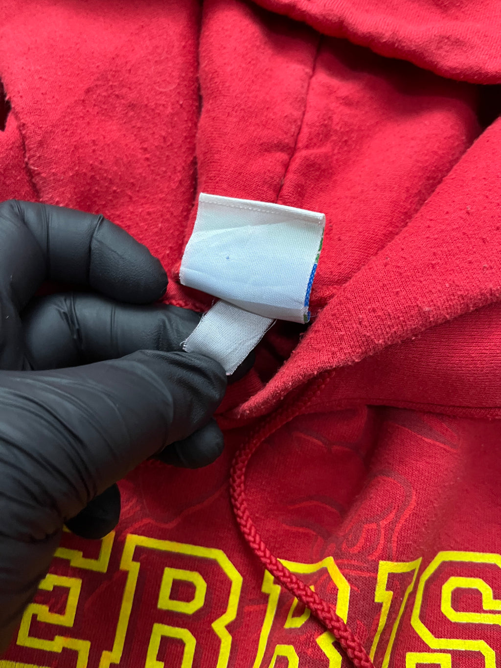 Champion Ferris State Bulldogs Mens Red Arch Name Long Sleeve Hoodie