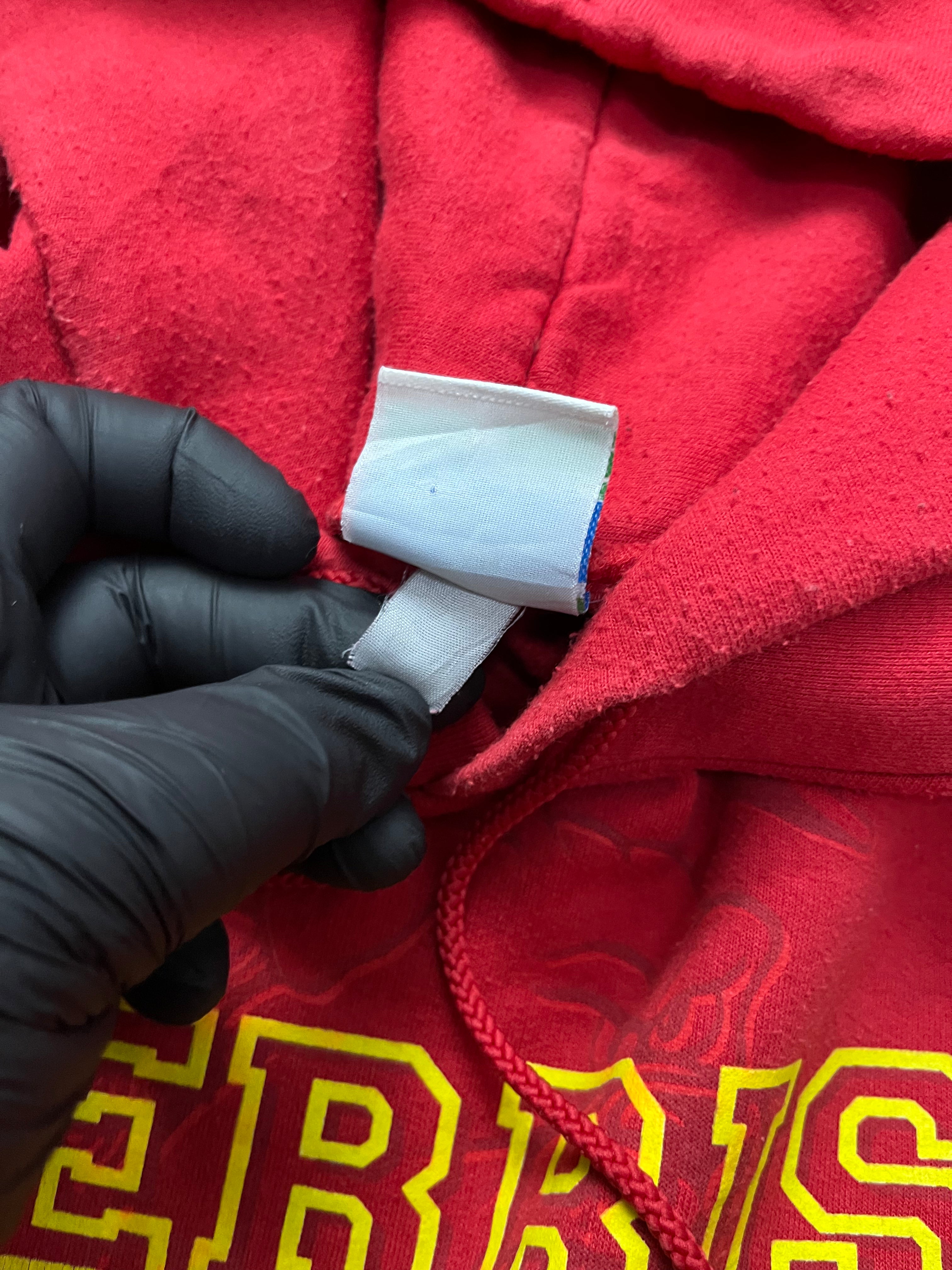 Champion Ferris State Bulldogs Mens Red Arch Name Long Sleeve Hoodie