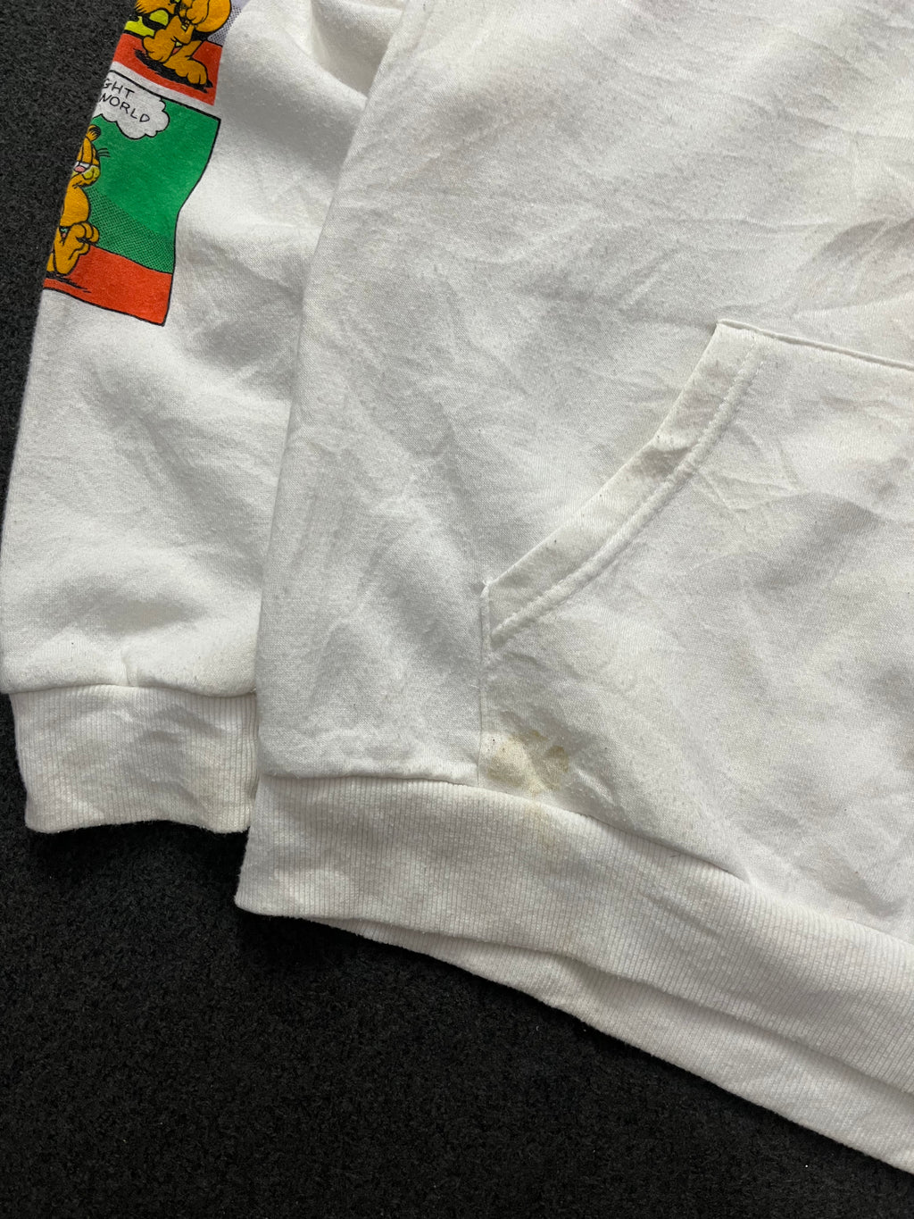 Garfield Comic Hoodie Paws