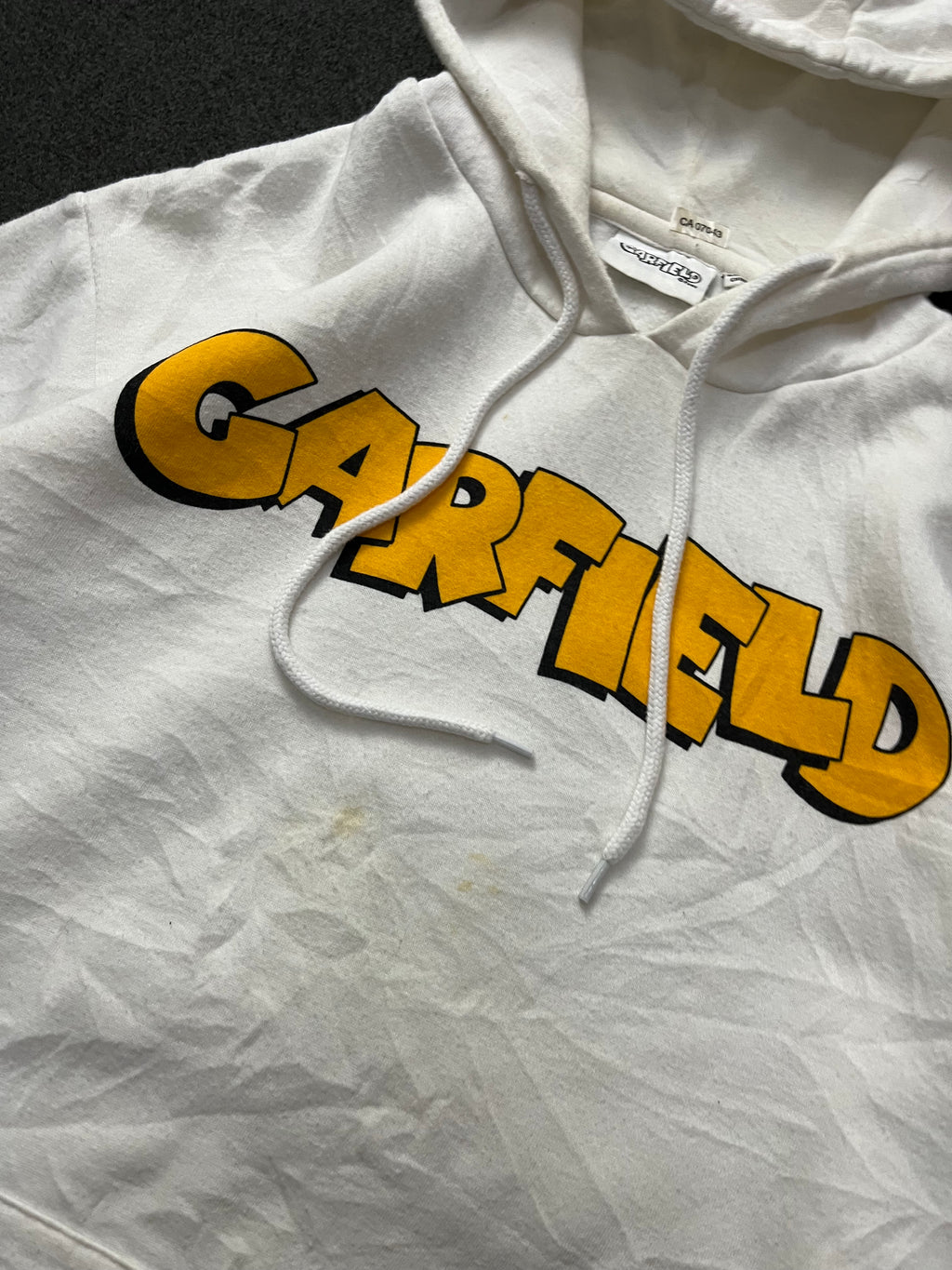 Garfield Comic Hoodie Paws