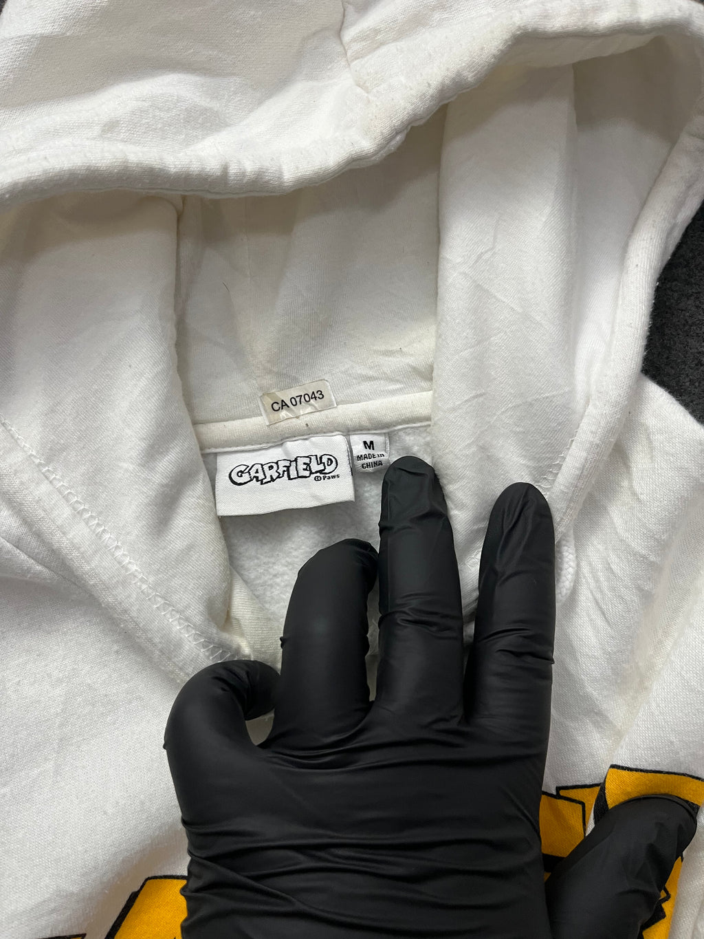 Garfield Comic Hoodie Paws