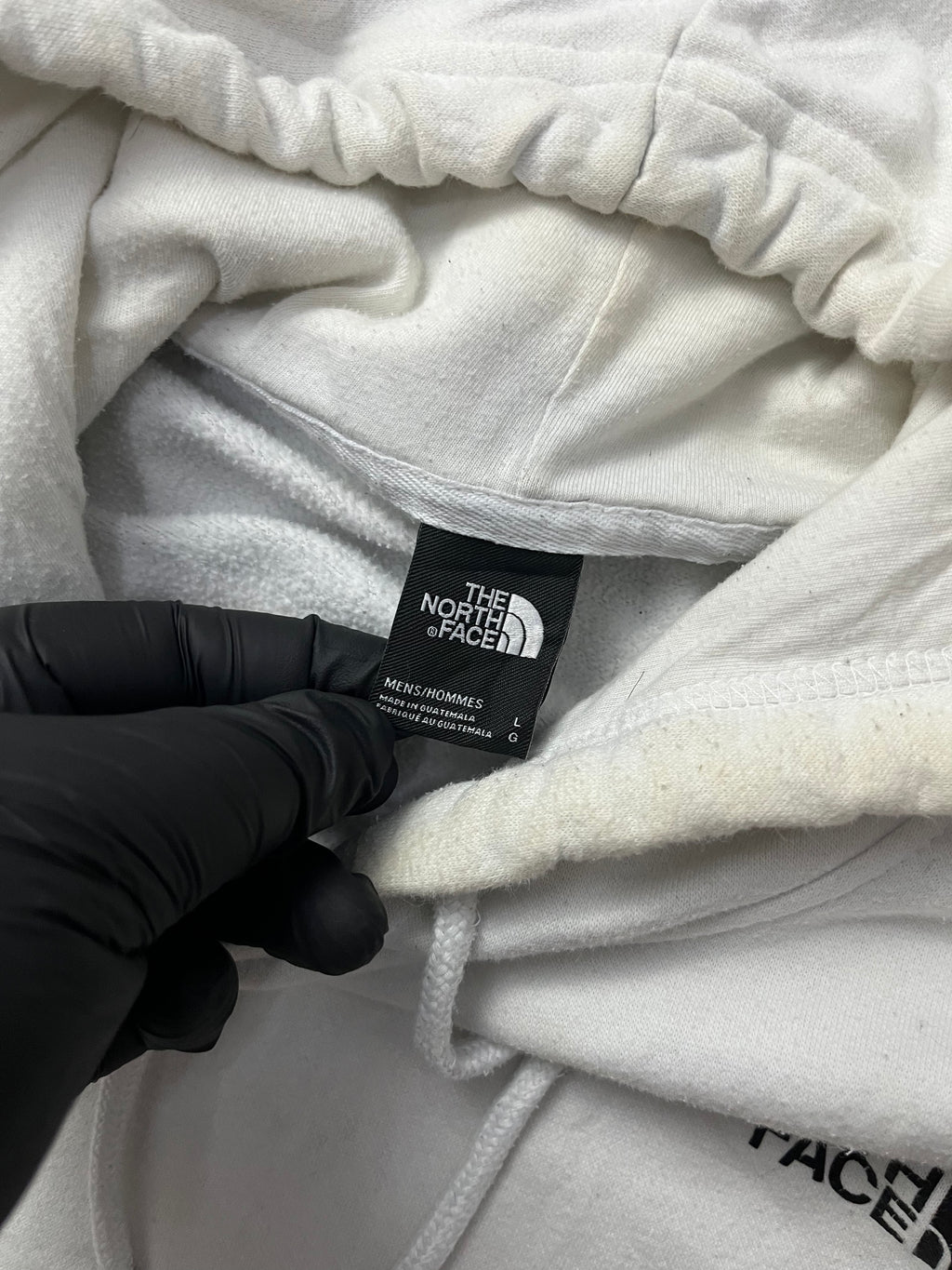 The nort face Printed Box NSE Pullover Hoodie