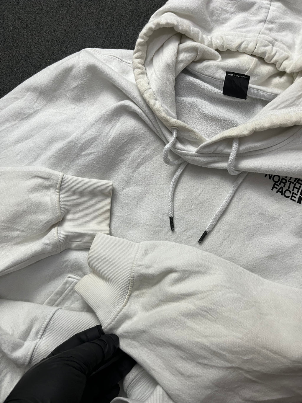 The nort face Printed Box NSE Pullover Hoodie