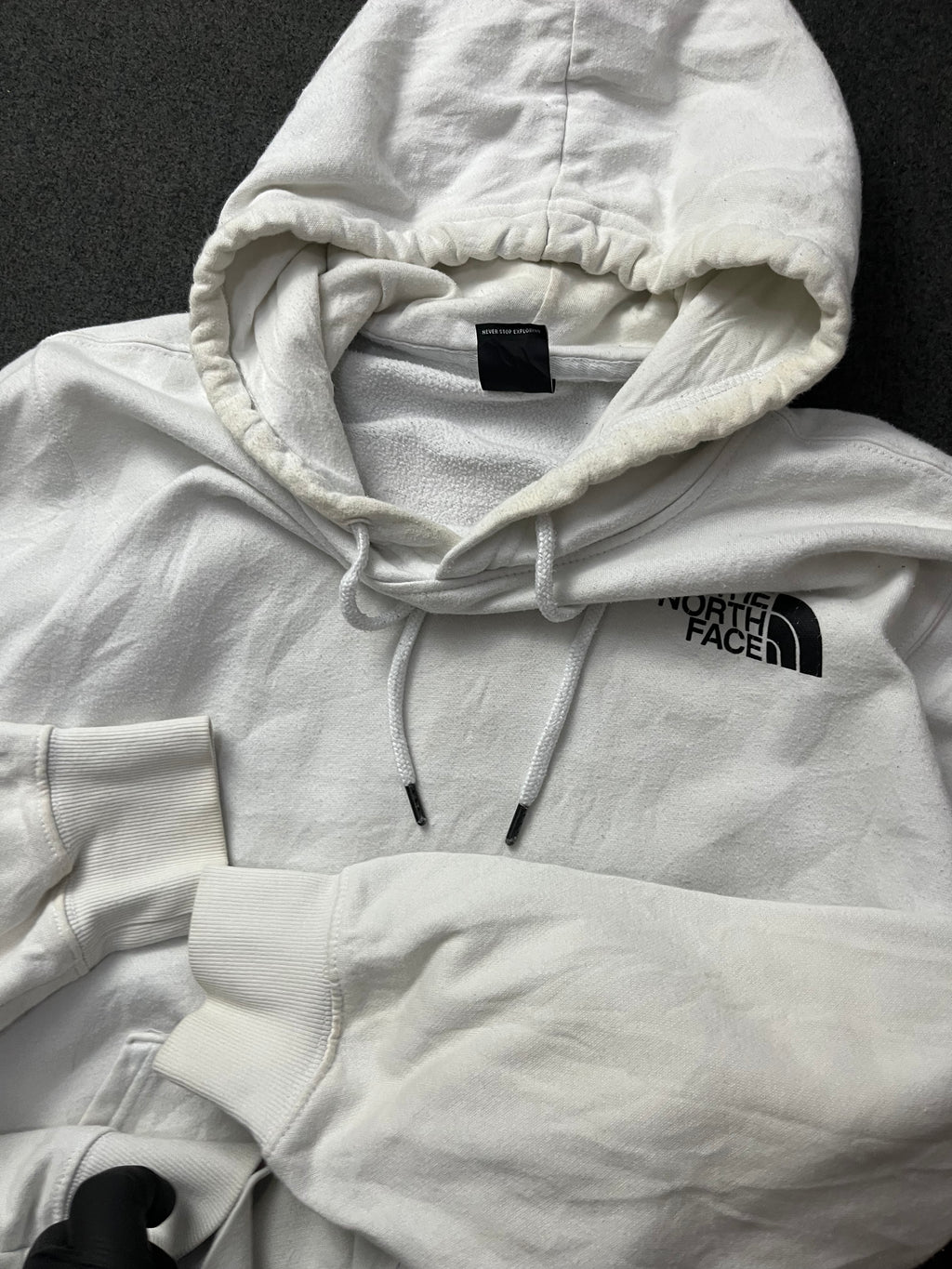 The nort face Printed Box NSE Pullover Hoodie