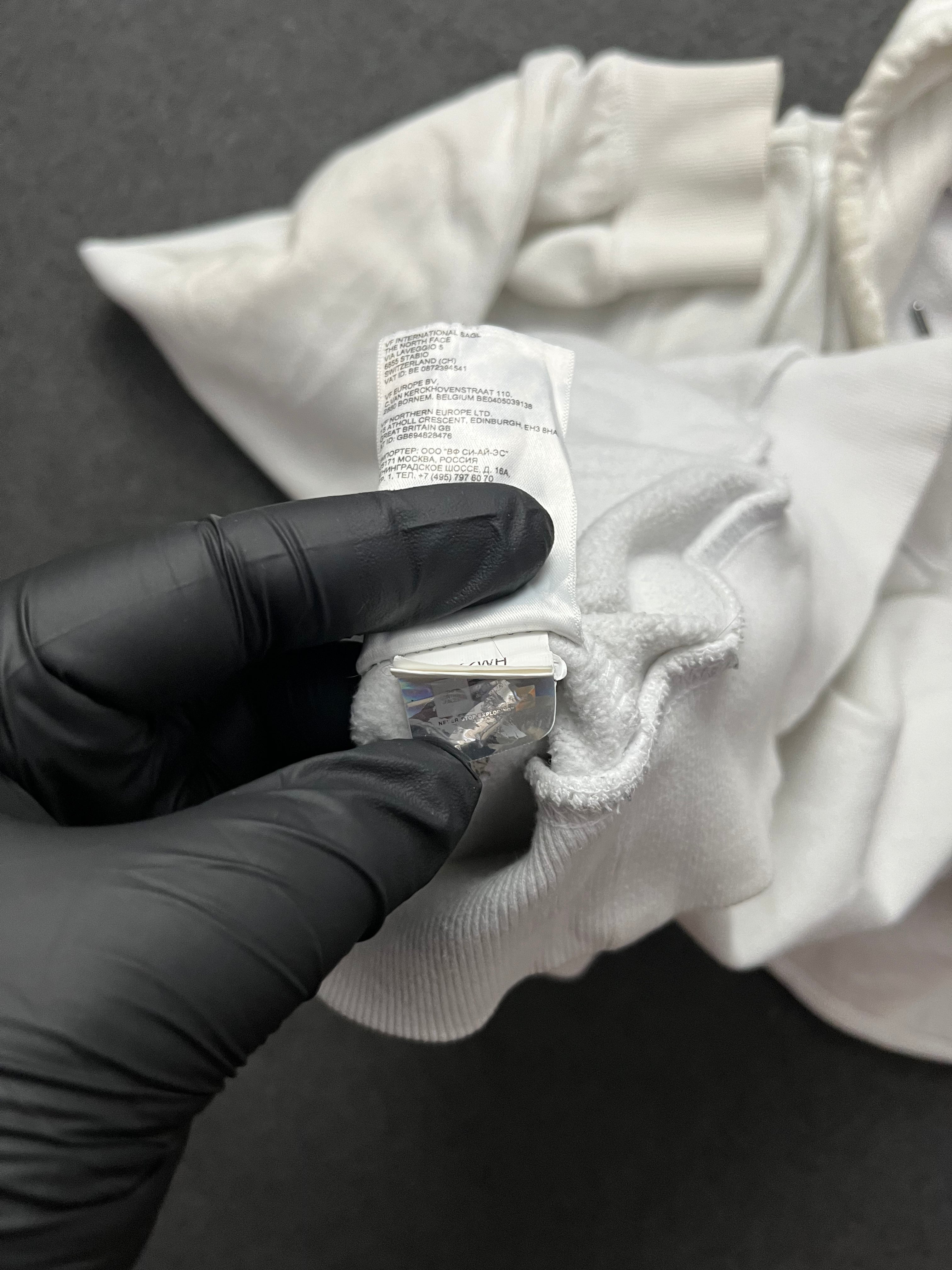 The nort face Printed Box NSE Pullover Hoodie